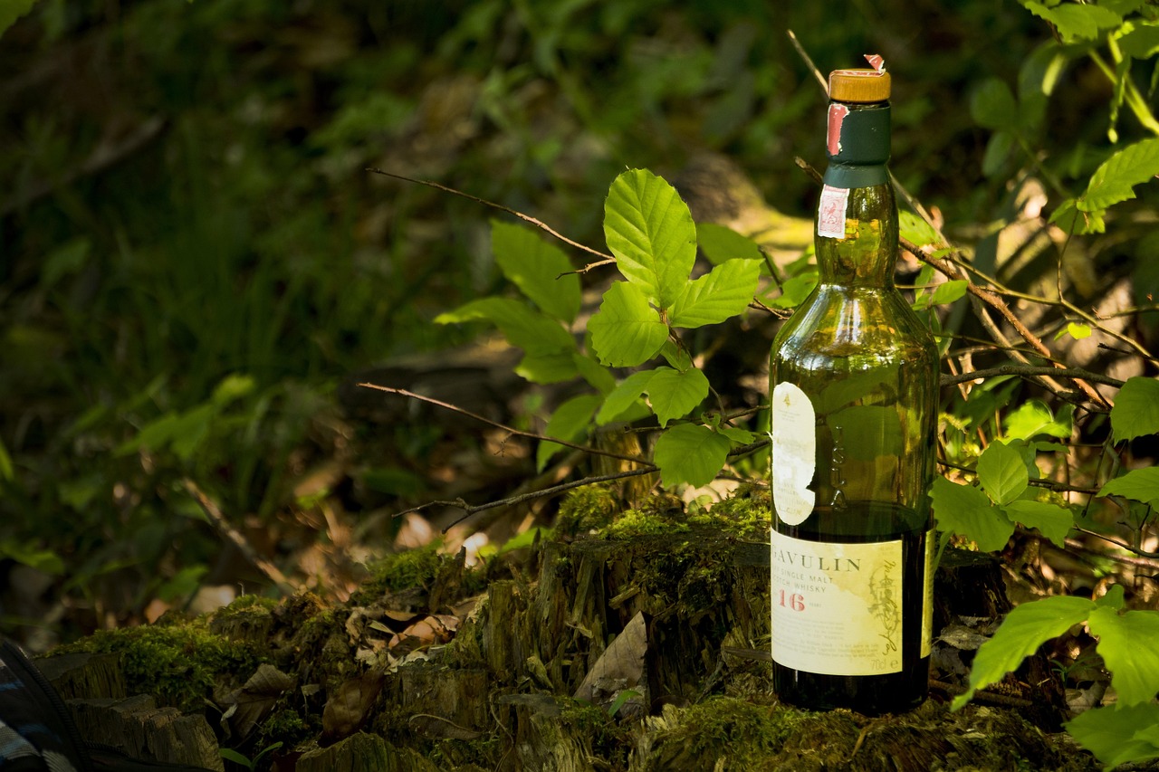 Lagavulin The Whisky That Defines Islay